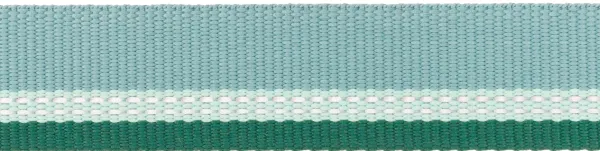 RuffWear Top Rope Collar koiran kaulapanta, River Rock Green| Kaulapannat