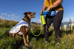 RuffWear Trail Runner Bowl minimalistinen retkikuppi, Blue Pool| Koirankupit