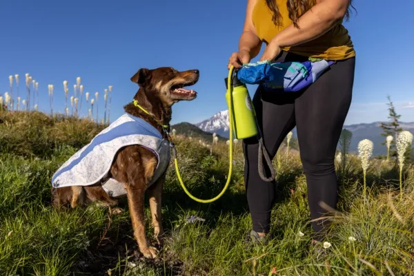 RuffWear Trail Runner Bowl minimalistinen retkikuppi, Blue Pool| Koirankupit