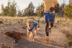 RuffWear Trail Runner Leash joustohihna, sininen| Juoksu- Ja Pyöräilytaluttimet
