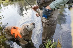 RuffWear Koiranomistajan Tarvikkeet^Treat Trader Pouch makupalapussi, Blue Pool