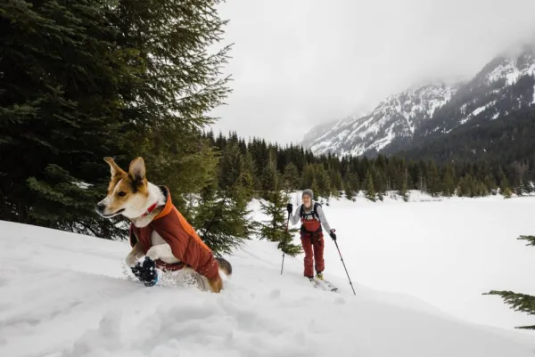 RuffWear Talvitakit^Vert koiran talvitakki, Canyonlands Orange