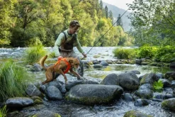 RuffWear Web Master Harness River Rock Green| Valjaat