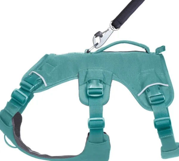 RuffWear Web Master Harness River Rock Green| Valjaat