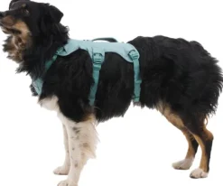 RuffWear Web Master Harness River Rock Green| Valjaat
