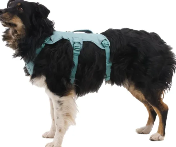 RuffWear Web Master Harness River Rock Green| Valjaat