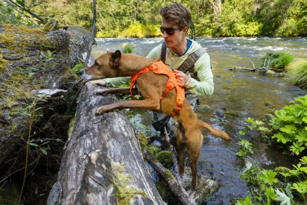 RuffWear Valjaat^Web Master Harness Basalt Gray