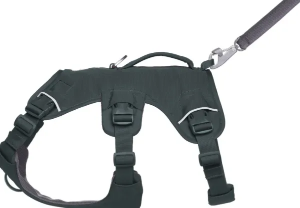 RuffWear Valjaat^Web Master Harness Basalt Gray