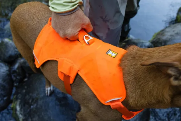 RuffWear Valjaat^Web Master Harness Basalt Gray