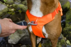 RuffWear Valjaat^Web Master Harness Basalt Gray