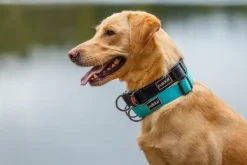 Rukka Bliss Collar Black M| Kaulapannat