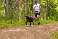 Rukka Hike Harness Red L| Valjaat