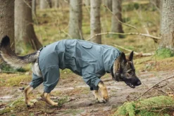 Rukka Protect Overall Dark Agave 60-65 cm| Sadetakit