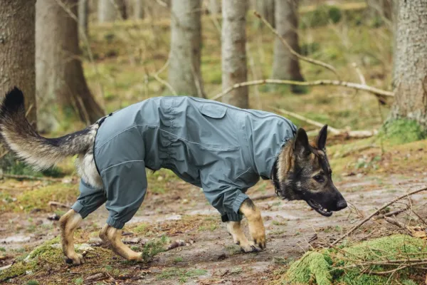 Rukka Protect Overall Dark Agave 60-65 cm| Sadetakit