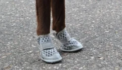 Rukka Summer Shoes 2 pcs Gray size 5-6| Koiran Tossut