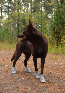 Rukka Summer Shoes 2 pcs Gray size 5-6| Koiran Tossut