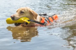 Rukka Training Dummy Yellow M| Aktivointilelut