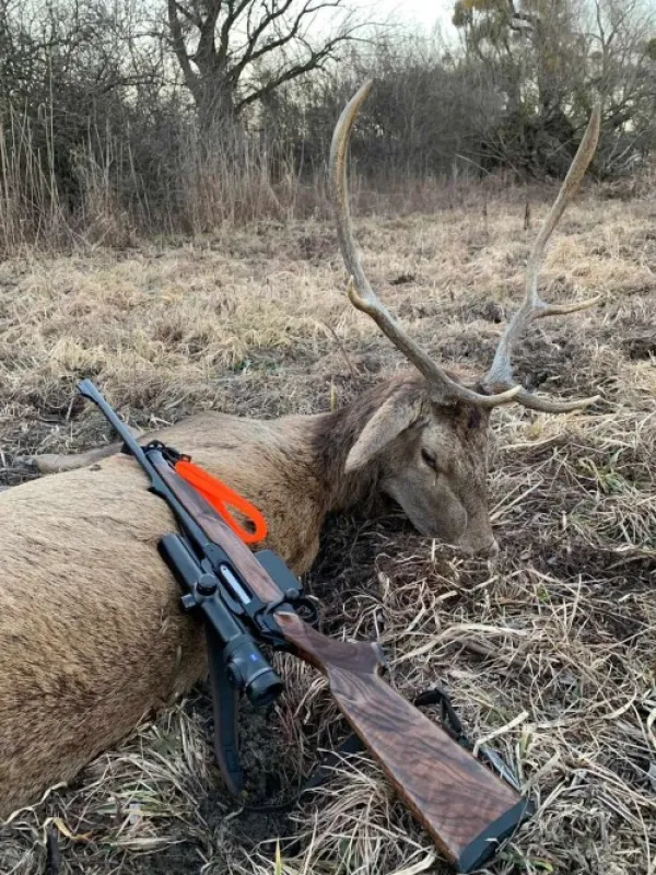 Sauenhammer SH2 aseen tukihihna| Ampumatuet