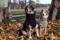 Siccaro Solution kuivausloimi, Sand 70 (XXL)| Kuivausloimet