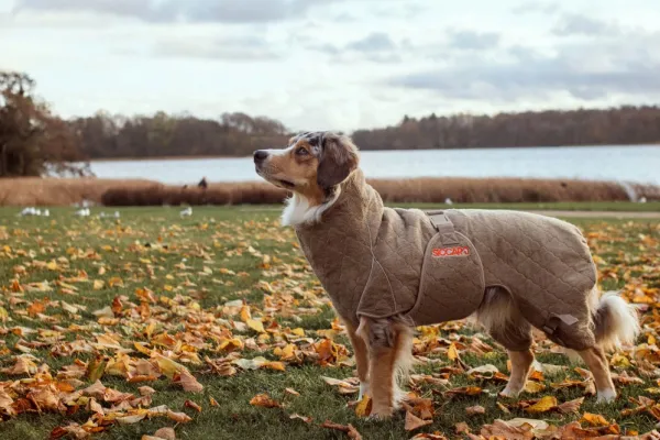 Siccaro Kuivausloimet^Solution kuivausloimi, Sand 40 (M)