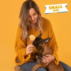 Smoofl Dog Ice Form muotit koiran jäätelölle, S| Makupalat