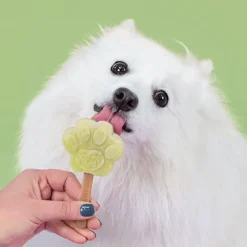 Smoofl Dog Ice Form muotit koiran jäätelölle, S| Makupalat