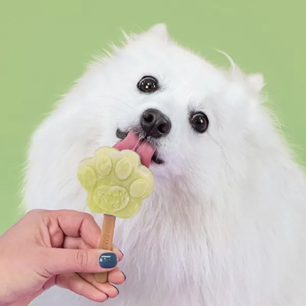 Smoofl Dog Ice Form muotit koiran jäätelölle, S| Makupalat