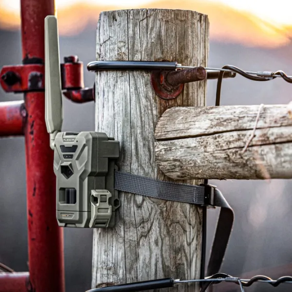 Spypoint Riistakamerat^FLEX-M Twin-pack lähettävä riistakamera, 2 kpl