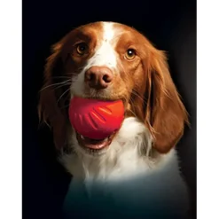 Starmark Aktivointilelut^Foam Ball Bacon 9 cm