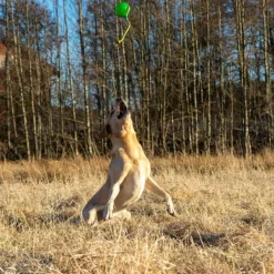 Starmark Funball med Rep Grön L| Aktivointilelut