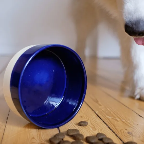 Swaggin Tails Outlet - Koiralle^Käka koirankuppi, 2,5 l kermanvärinen/sininen