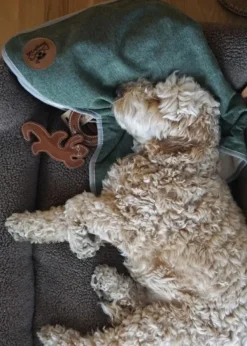 Swaggin Tails koiran huopa, L, vaaleanharmaa| Outlet - Koiralle