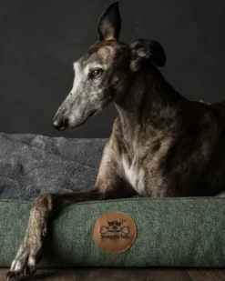 Swaggin Tails koiranpeti Memory Foam -vaahdolla M, vihreä| Koiranpedit