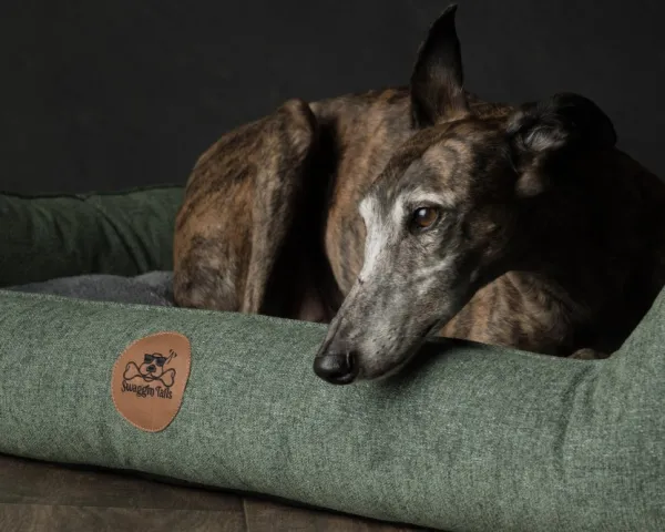 Swaggin Tails Koiranpedit^koiranpeti Memory Foam -vaahdolla S, harmaa