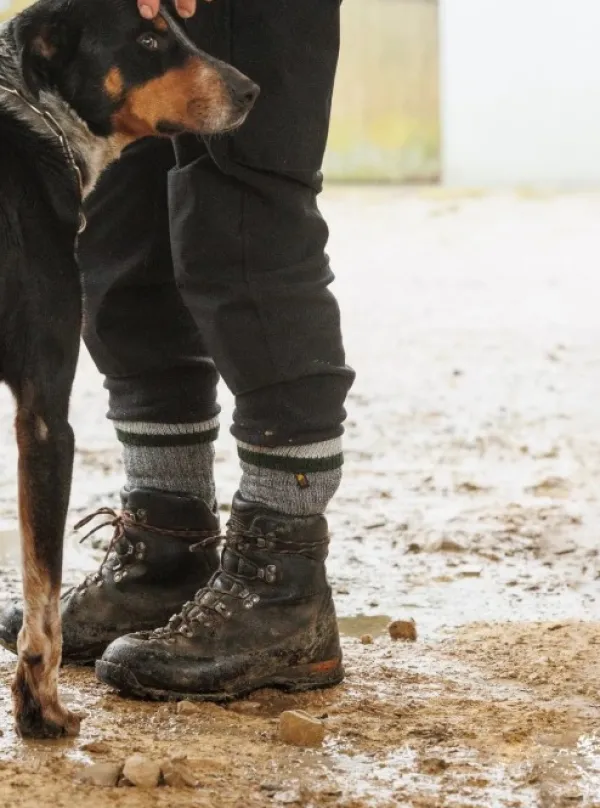 Swazi Farm Sock merinosukka, Forest Green| Metsästyssukat