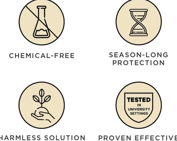 Tickless Punkit Ja Ulkoloiset^PET punkkikarkotin