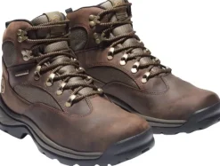 Timberland Chocorua Mid WP kengät, Medium Brown| Vaellus- Ja Trekkingkengät