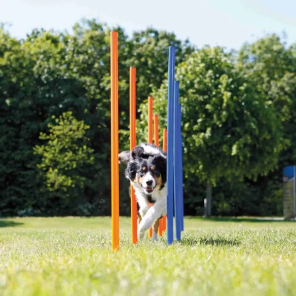 Trixie Agility harjoituskepit 115cm, 12 kpl| Agility