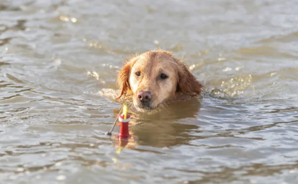 Trixie Aktivointilelut^Aqua Toy Snack Buoy 19 cm