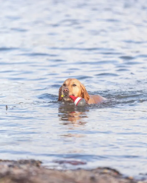 Trixie Aktivointilelut^Aqua Toy Snack Buoy 19 cm