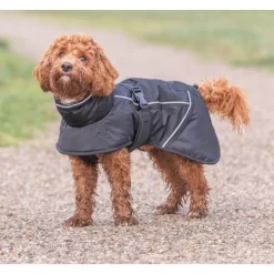Trixie Brizon Winter Coat koiran talvitakki, 55 cm, Black| Talvitakit