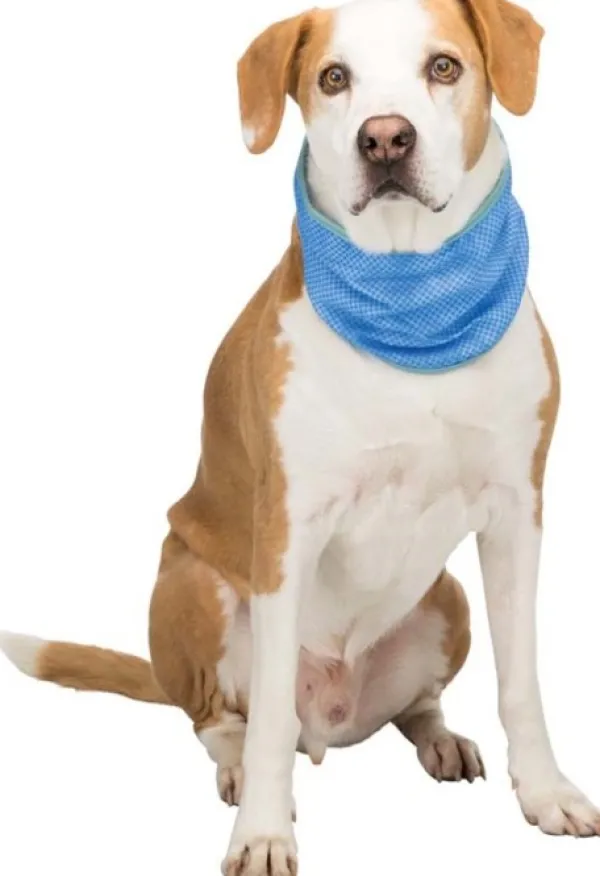 Trixie Jäähdytyshuivi PVA XL 46-56 cm| Viilennys Ja Aurinkosuoja