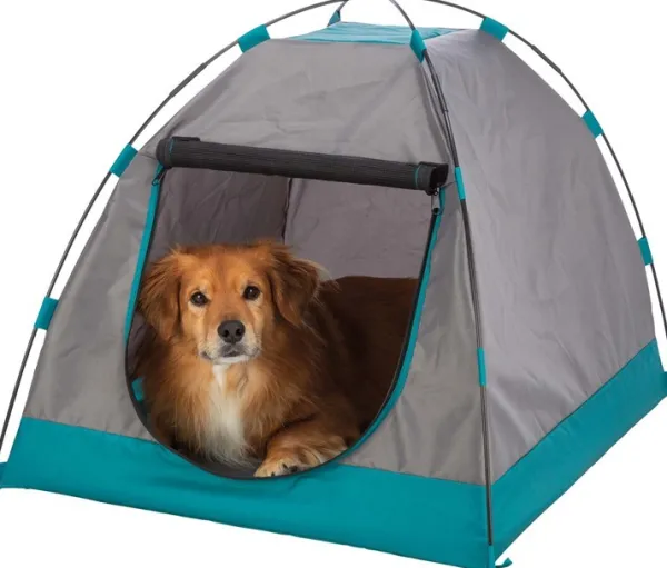 Trixie Koiranpedit^koirateltta, 110 x 75 x 80 cm, tummanharmaa/petrooli