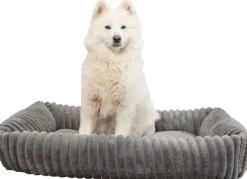 Trixie Koiranpedit^Lonni koiranpeti Manchester Plysch 100 x 70 cm harmaa