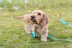 Trixie maakoukku, 40 cm/ø 9,0 mm| Koiranomistajan Tarvikkeet