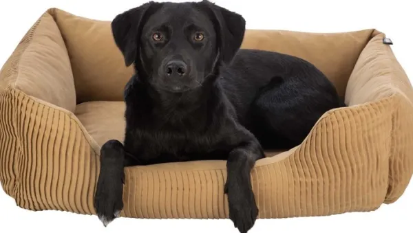 Trixie Koiranpedit^Marley koiranpeti, 60 x 50cm, vaaleanruskea