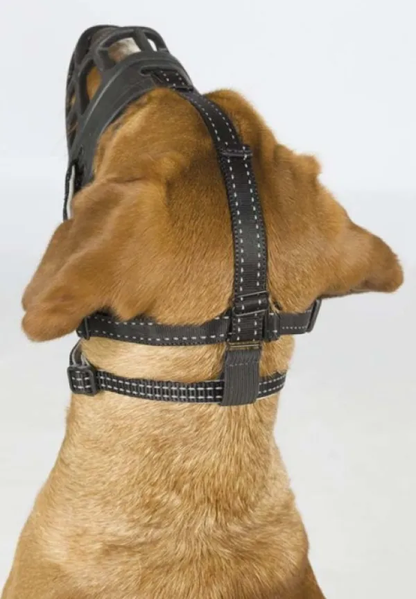 Trixie -silikoninen kuonokoppa S-koko| Kuonokopat