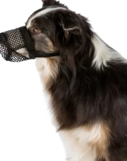 Trixie Koiranpentujen Tarvikkeet^-suojaverkko kuonolle, S, musta