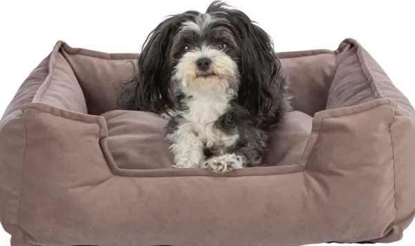 Trixie Koiranpedit^Talia koiranpeti, 80 x 65cm, ruskea