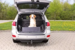 Trixie Kuljetushäkit Ja Matkustustarvikkeet^-tavaratilan suojus puskurisuojalla, 164 x 125 cm